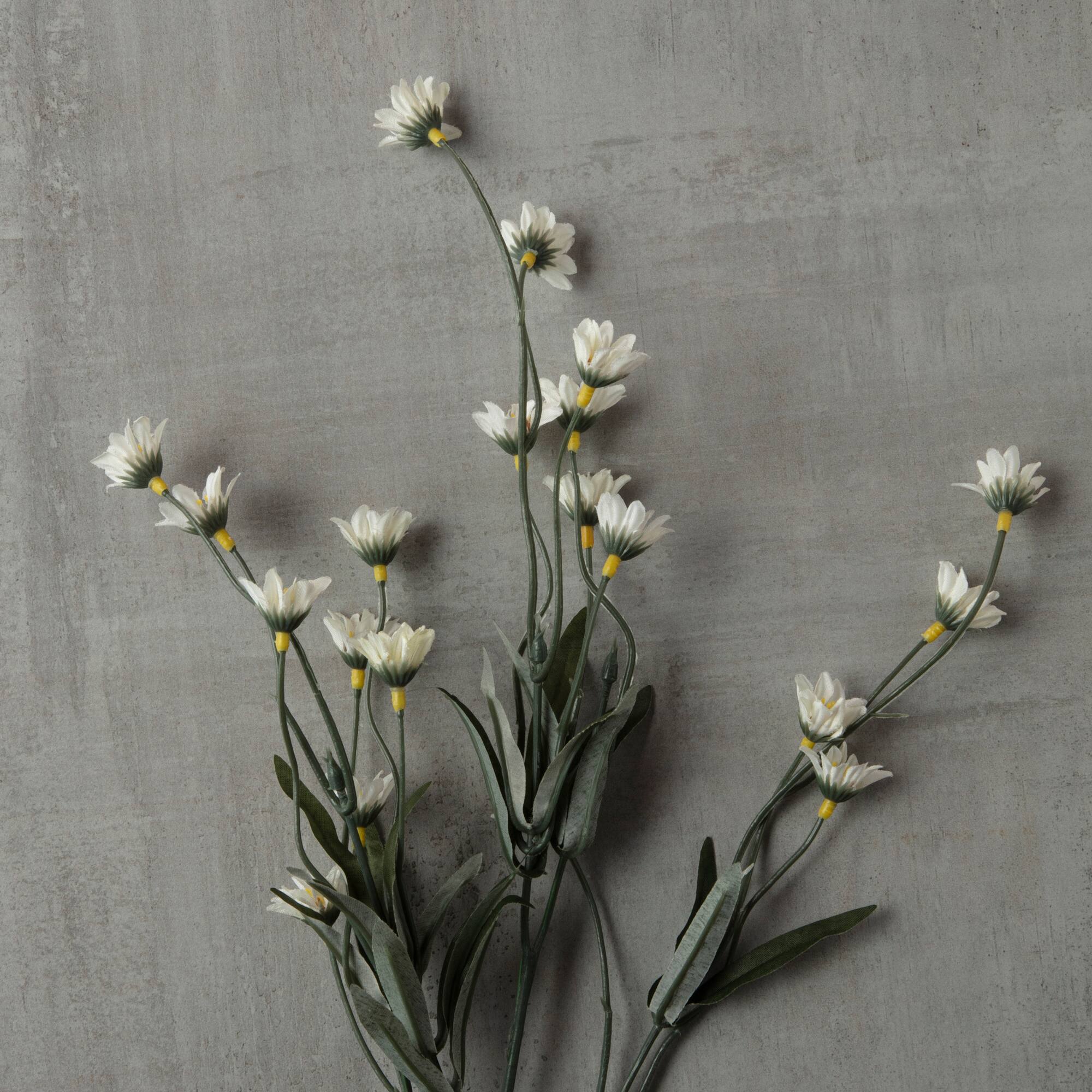 16 Pack: Cream Wild Daisy Spray by Ashland®